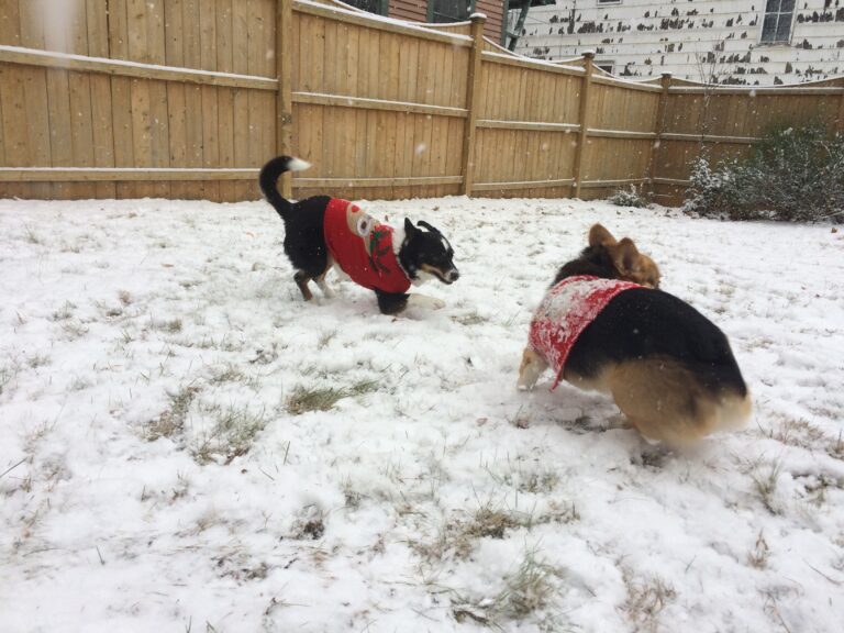 First snow, second snow