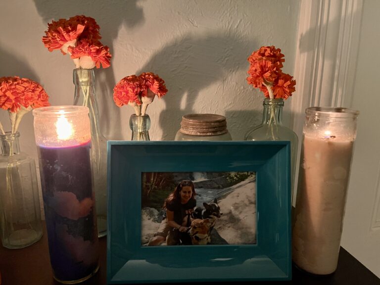 Día los Muertos para las mascotas